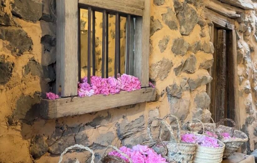 Rose Package (Self Drive)