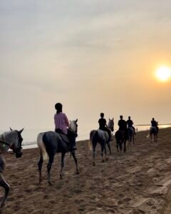 Horse Riding (1 Hour)