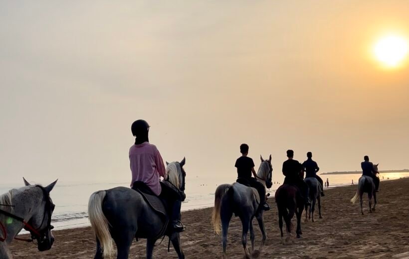 Horse Riding (1 Hour)