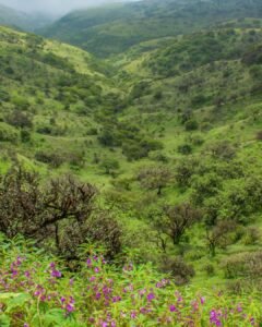 Salalah 3 Nights & 4 Days